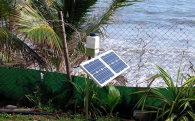 Echouage de Sargasses en Guadeloupe : un réseau de micro capteurs Cairnet cartographie les émanations en H2S et NH3